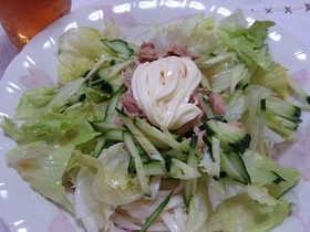 暑い日にぴったり、簡単にサラダうどん。