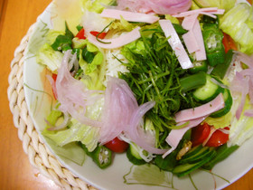 夏野菜のぶっかけそうめん