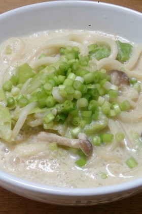 ほっこり温まる豆乳味噌うどん