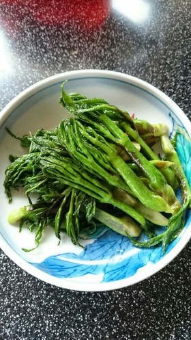 タラの芽の塩きんぴら&醤油きんぴら