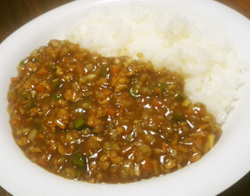 鶏野菜＊キーマカレー