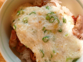 カリカリ豚肉の梅とろろ丼