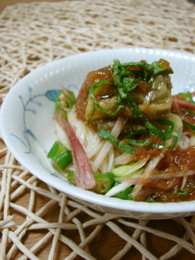 梅ダレで焼きナス＆そうめん♪