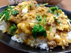 家計に優しい～揚げ玉とそぼろの卵とじ丼～