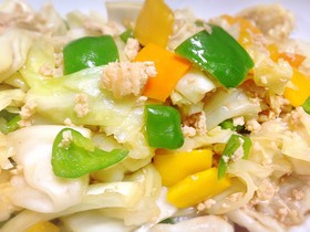 鶏ひき肉と野菜何でもオイスター炒め