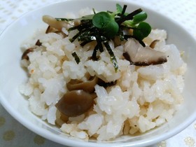 オイルきのこと明太子の混ぜご飯