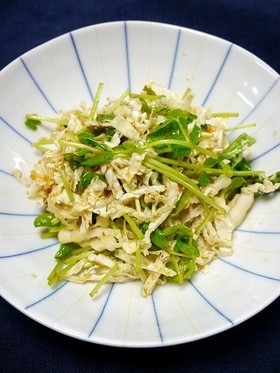 ヘルシー！たっぷり白菜豆苗サラダ