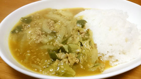 白菜と長ねぎの和風カレー♪