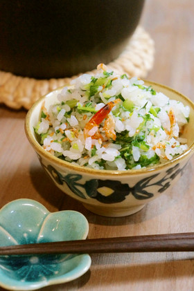 桜海老と大根葉の彩り菜飯＊